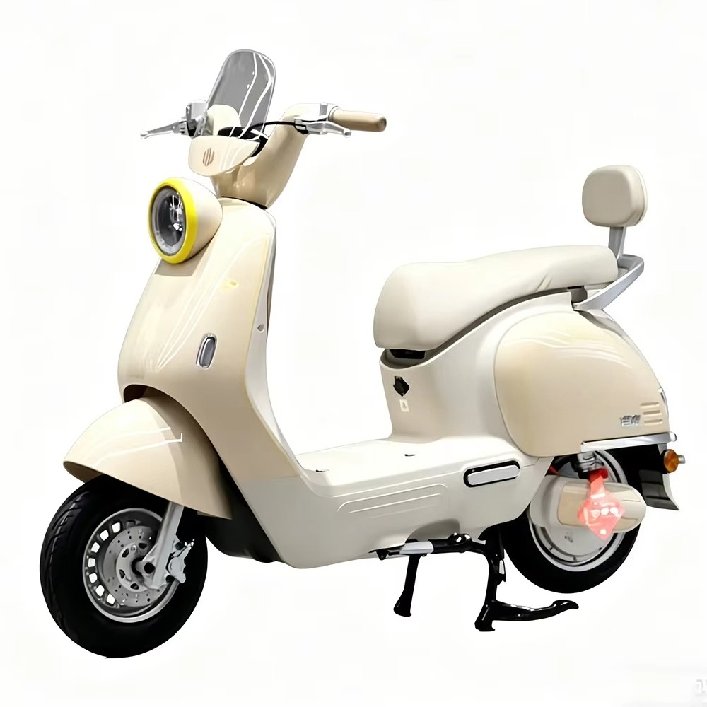 دراجة نارية كهربائية للبالغين  - مراجعة Brake Disc Motorcycle وسعره