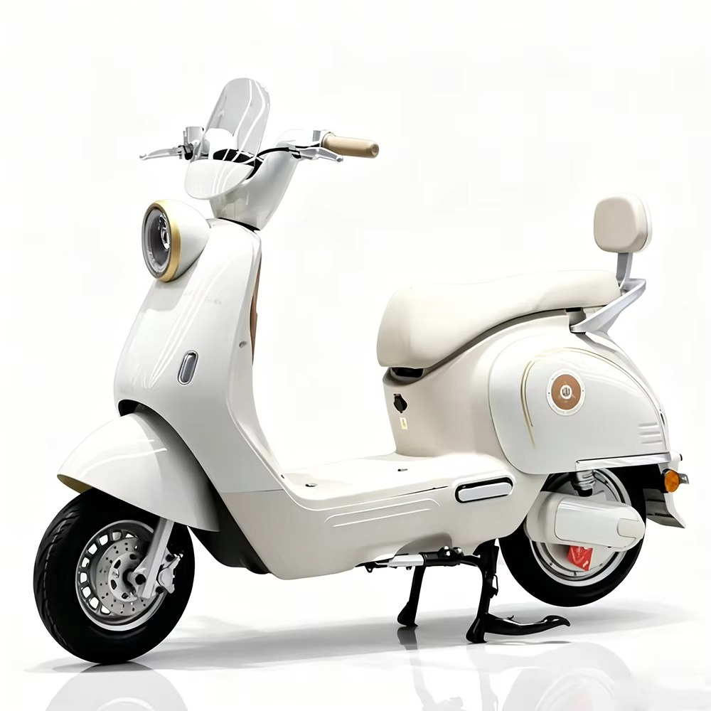 دراجة نارية كهربائية للبالغين  - مراجعة Brake Disc Motorcycle وسعره